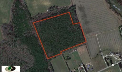 Photo of SOLD!  28 Acres of Hunting Land For Sale in Accomack County VA!