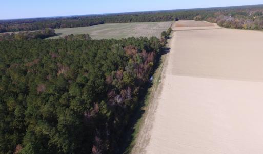 Photo of SOLD!  28 Acres of Hunting Land For Sale in Accomack County VA!