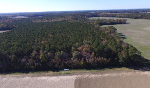 Photo of SOLD!  28 Acres of Hunting Land For Sale in Accomack County VA!