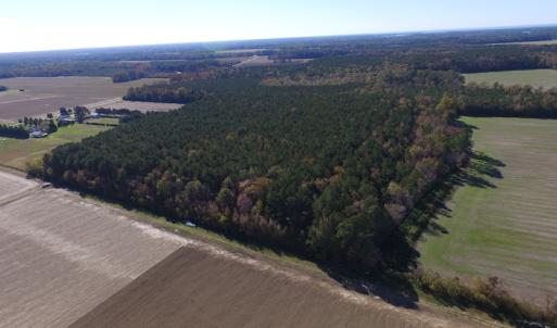 Photo of SOLD!  28 Acres of Hunting Land For Sale in Accomack County VA!