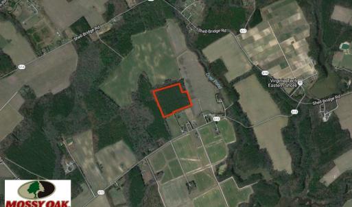 Photo of SOLD!  28 Acres of Hunting Land For Sale in Accomack County VA!