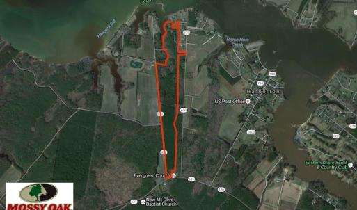 Photo of SOLD!  63 Acres of Waterfront Hunting Land For Sale in Accomack County VA!
