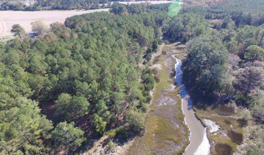 Photo of SOLD!  63 Acres of Waterfront Hunting Land For Sale in Accomack County VA!