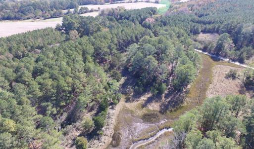 Photo of SOLD!  63 Acres of Waterfront Hunting Land For Sale in Accomack County VA!