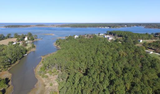 Photo of SOLD!  63 Acres of Waterfront Hunting Land For Sale in Accomack County VA!