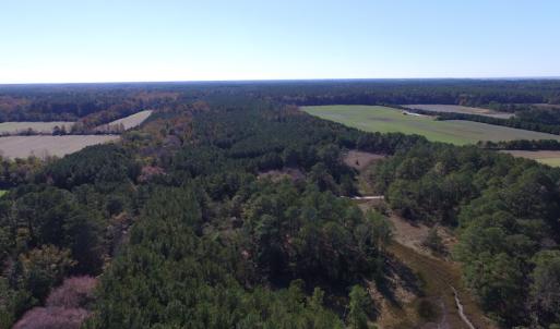 Photo of SOLD!  63 Acres of Waterfront Hunting Land For Sale in Accomack County VA!