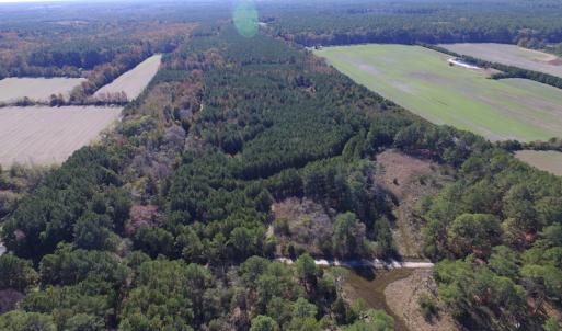 Photo of SOLD!  63 Acres of Waterfront Hunting Land For Sale in Accomack County VA!
