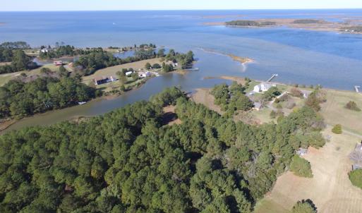 Photo of SOLD!  63 Acres of Waterfront Hunting Land For Sale in Accomack County VA!
