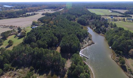 Photo of SOLD!  63 Acres of Waterfront Hunting Land For Sale in Accomack County VA!