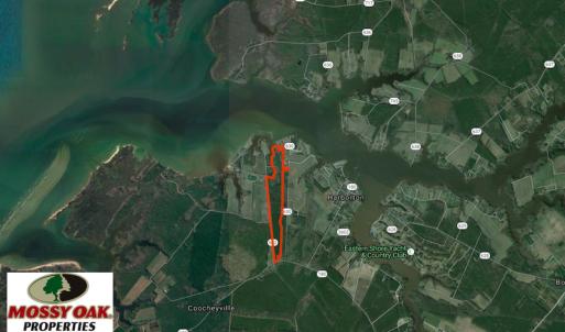 Photo of SOLD!  63 Acres of Waterfront Hunting Land For Sale in Accomack County VA!