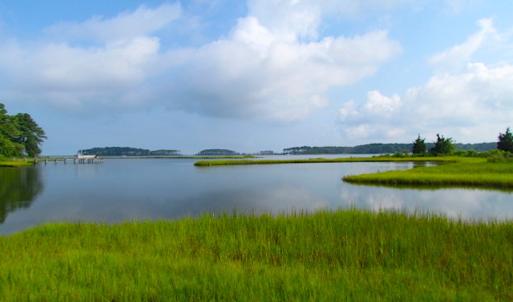 Photo of SOLD!  63 Acres of Waterfront Hunting Land For Sale in Accomack County VA!