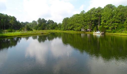 Photo of SOLD!  63 Acres of Waterfront Hunting Land For Sale in Accomack County VA!