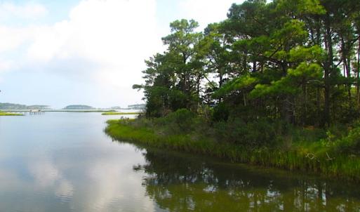 Photo of SOLD!  63 Acres of Waterfront Hunting Land For Sale in Accomack County VA!