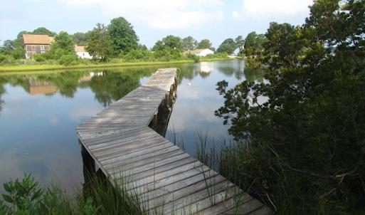 Photo of SOLD!  63 Acres of Waterfront Hunting Land For Sale in Accomack County VA!