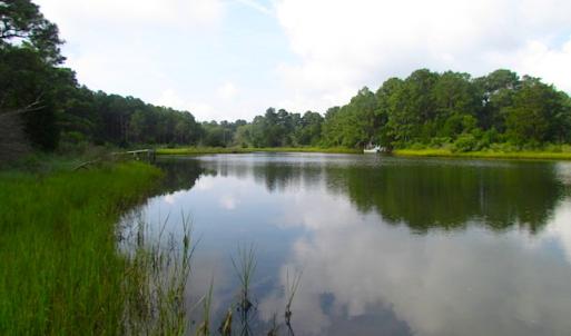 Photo of SOLD!  63 Acres of Waterfront Hunting Land For Sale in Accomack County VA!