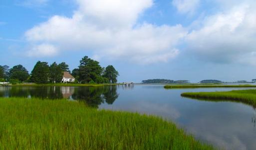 Photo of SOLD!  63 Acres of Waterfront Hunting Land For Sale in Accomack County VA!