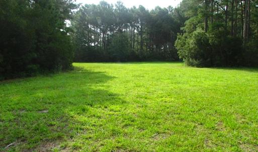 Photo of SOLD!  63 Acres of Waterfront Hunting Land For Sale in Accomack County VA!