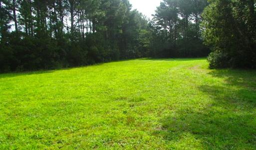 Photo of SOLD!  63 Acres of Waterfront Hunting Land For Sale in Accomack County VA!