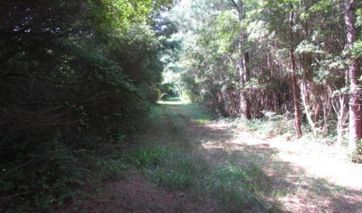 Photo of SOLD!  63 Acres of Waterfront Hunting Land For Sale in Accomack County VA!