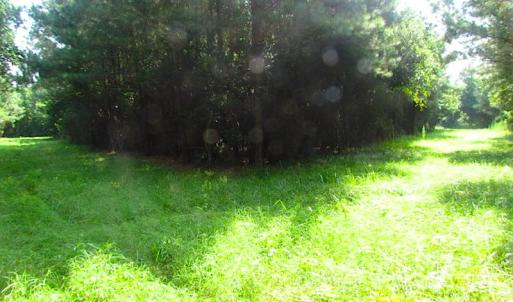 Photo of SOLD!  63 Acres of Waterfront Hunting Land For Sale in Accomack County VA!
