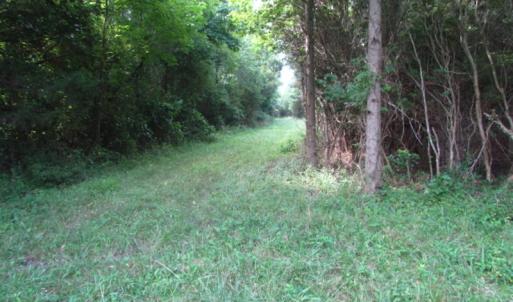 Photo of SOLD!  63 Acres of Waterfront Hunting Land For Sale in Accomack County VA!