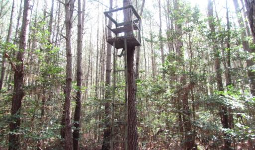 Photo of SOLD!  63 Acres of Waterfront Hunting Land For Sale in Accomack County VA!