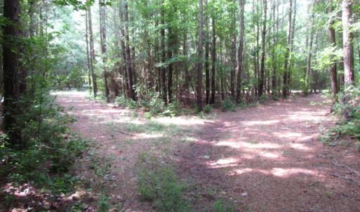 Photo of SOLD!  63 Acres of Waterfront Hunting Land For Sale in Accomack County VA!