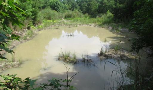 Photo of SOLD!  63 Acres of Waterfront Hunting Land For Sale in Accomack County VA!