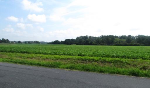 Photo of SOLD!  63 Acres of Waterfront Hunting Land For Sale in Accomack County VA!