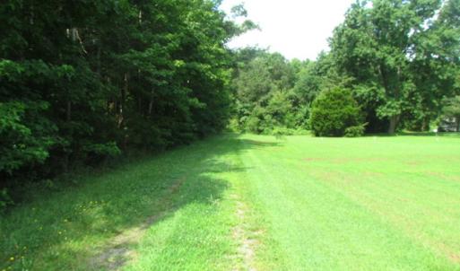 Photo of SOLD!  63 Acres of Waterfront Hunting Land For Sale in Accomack County VA!