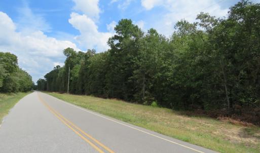 Photo of SOLD!  6 Acres of Timber Land For Sale in Bladen County NC!