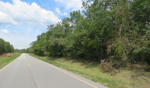 Photo of SOLD!  6 Acres of Timber Land For Sale in Bladen County NC!