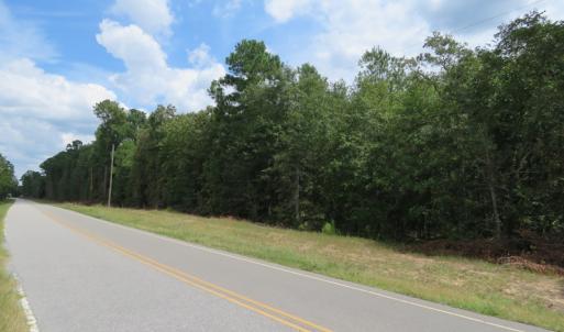 Photo of SOLD!  6 Acres of Timber Land For Sale in Bladen County NC!