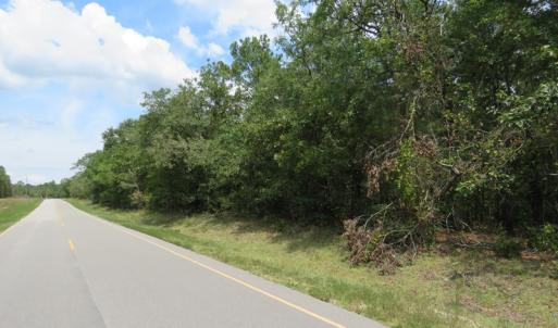 Photo of SOLD!  6 Acres of Timber Land For Sale in Bladen County NC!
