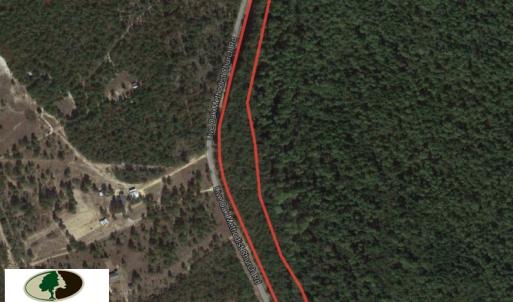 Photo of SOLD!  6 Acres of Timber Land For Sale in Bladen County NC!