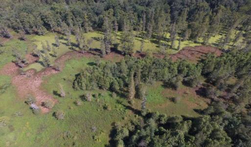 Photo of UNDER CONTRACT!  35 Acres of Recreational and Hunting Land For Sale in Lenoir NC!
