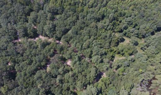 Photo of UNDER CONTRACT!  35 Acres of Recreational and Hunting Land For Sale in Lenoir NC!