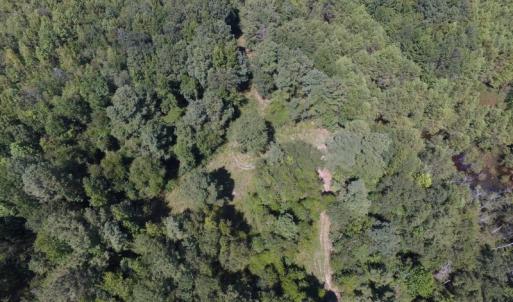 Photo of UNDER CONTRACT!  35 Acres of Recreational and Hunting Land For Sale in Lenoir NC!