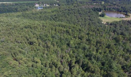 Photo of UNDER CONTRACT!  35 Acres of Recreational and Hunting Land For Sale in Lenoir NC!