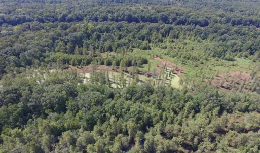 Photo of UNDER CONTRACT!  35 Acres of Recreational and Hunting Land For Sale in Lenoir NC!