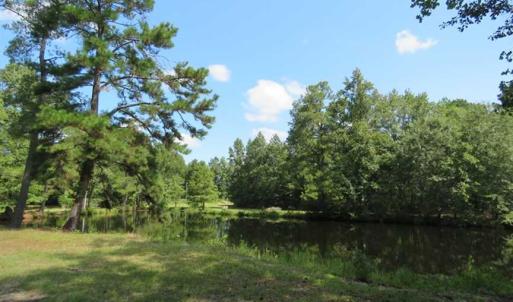 Photo of REDUCED!  230 Acres of Hunting Land For Sale in Brunswick County NC!