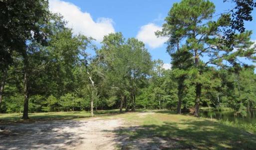 Photo of REDUCED!  230 Acres of Hunting Land For Sale in Brunswick County NC!