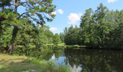 Photo of REDUCED!  230 Acres of Hunting Land For Sale in Brunswick County NC!