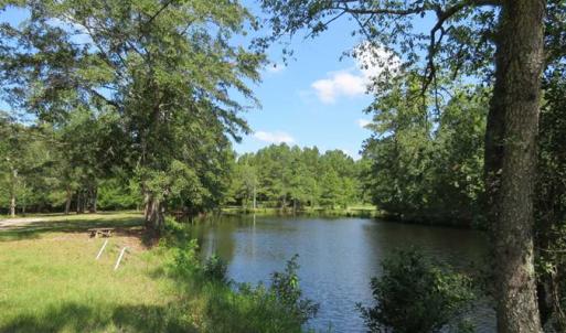 Photo of REDUCED!  230 Acres of Hunting Land For Sale in Brunswick County NC!