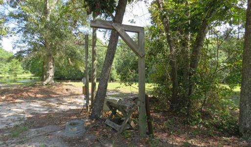 Photo of REDUCED!  230 Acres of Hunting Land For Sale in Brunswick County NC!