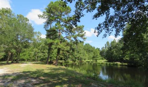 Photo of REDUCED!  230 Acres of Hunting Land For Sale in Brunswick County NC!