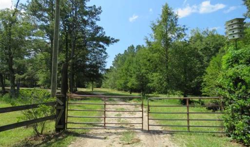 Photo of REDUCED!  230 Acres of Hunting Land For Sale in Brunswick County NC!