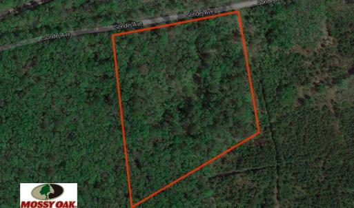 Photo of 7.7 Acres of Hunting and Investment Land For Sale in Chesapeake VA!