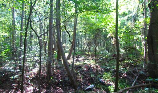 Photo of 7.7 Acres of Hunting and Investment Land For Sale in Chesapeake VA!