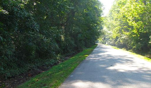 Photo of 7.7 Acres of Hunting and Investment Land For Sale in Chesapeake VA!